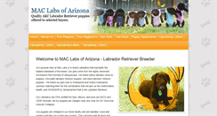 Desktop Screenshot of maclabsofarizona.com
